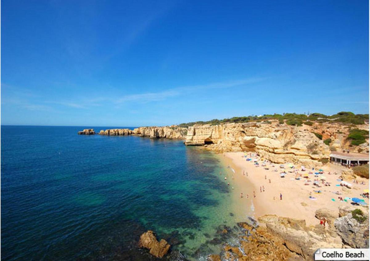 Villa Coelho - Housity