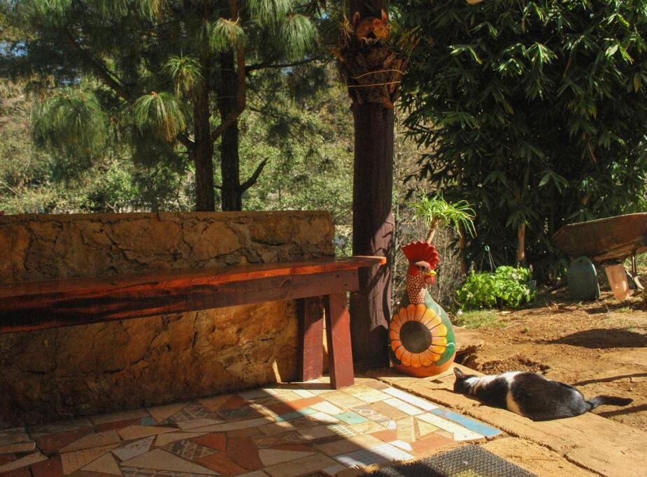 Suitetrails - Hostal Casa 4 Estaciones, CoLiving & Nature