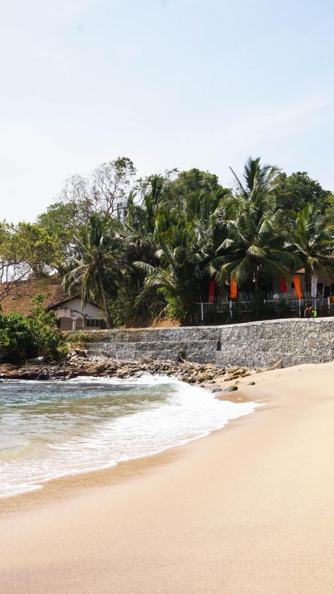 Surf Paradise - Housity