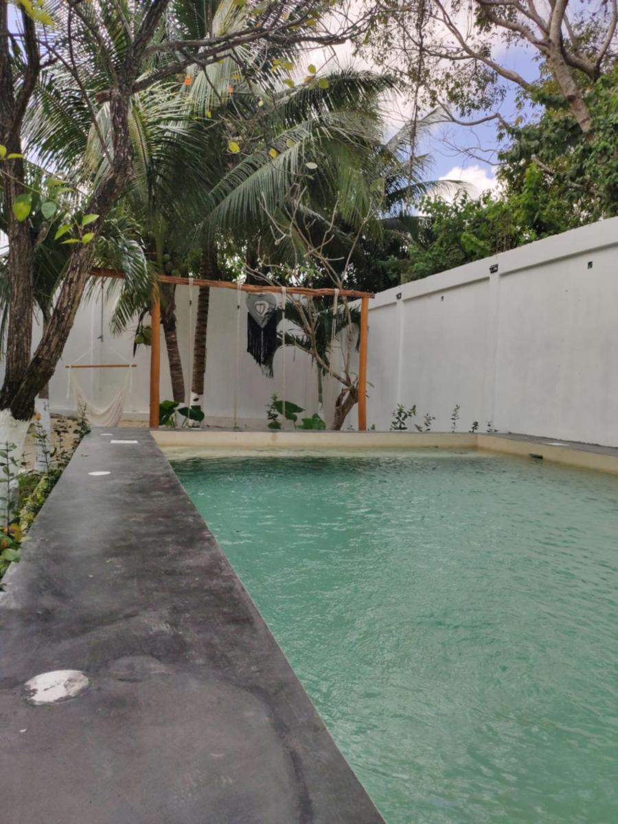 Departamentos Kuxtal Bacalar - Housity