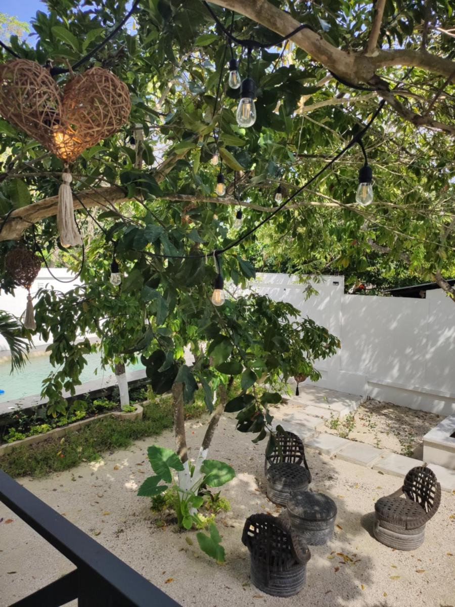 Departamentos Kuxtal Bacalar - Housity