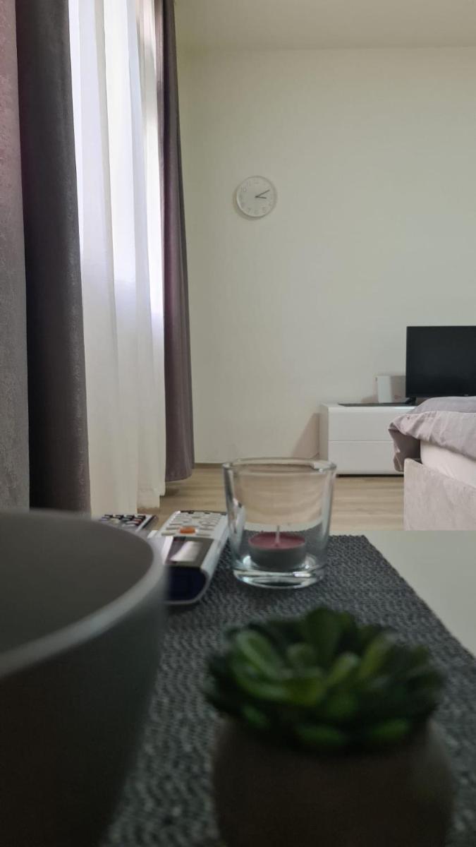 Apartman Pavlovic - Hizvo