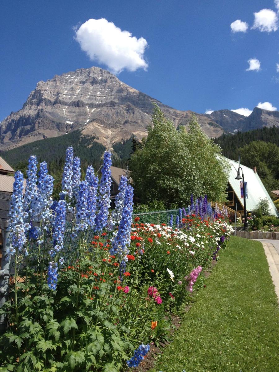 Canadian Rockies Inn - Adults only - Housity