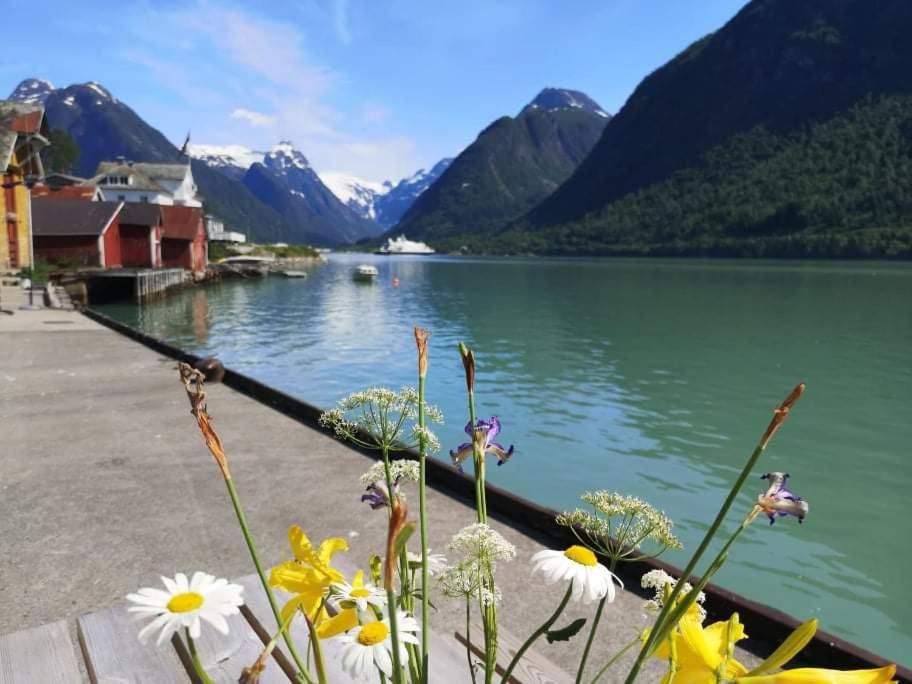 Sogndal ski- and mountain cabin - Housity