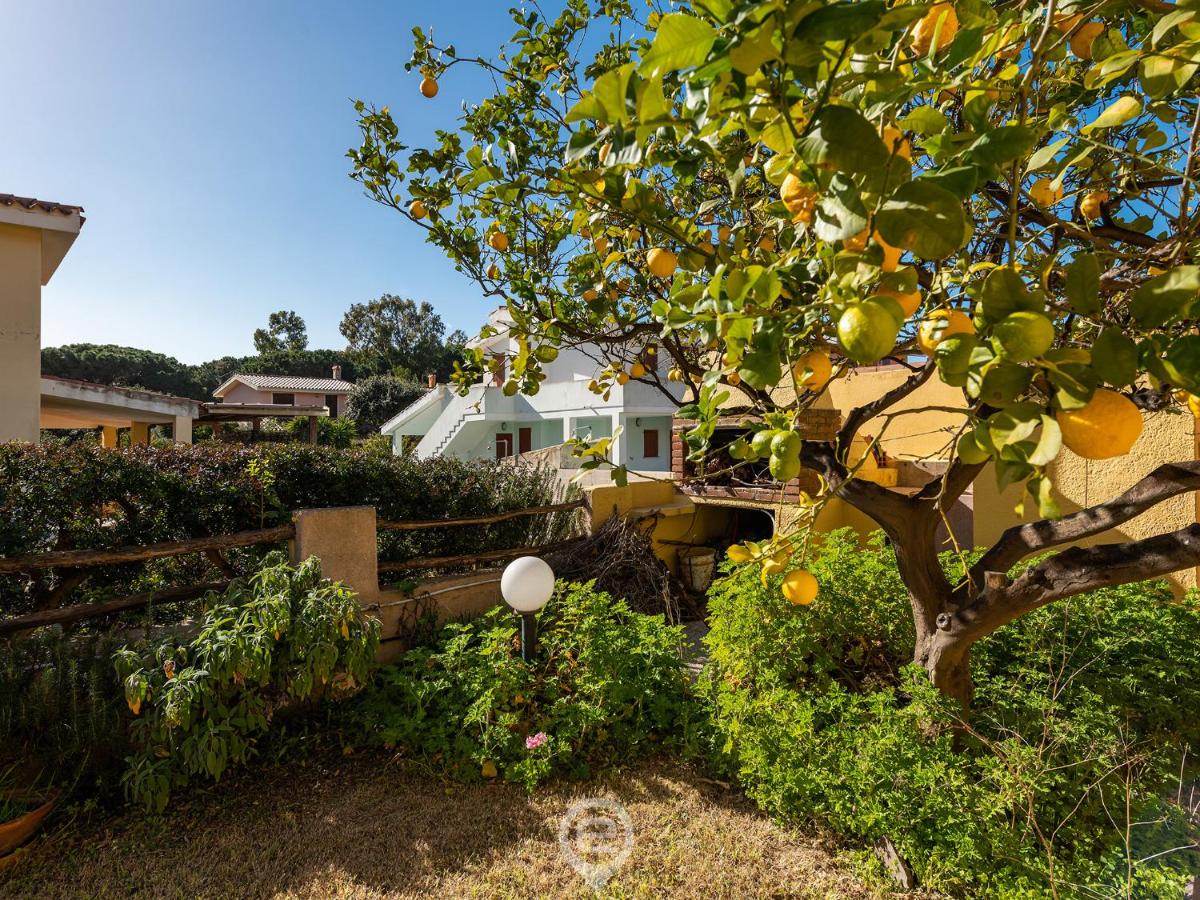 Villa Maria Luisa - Housity