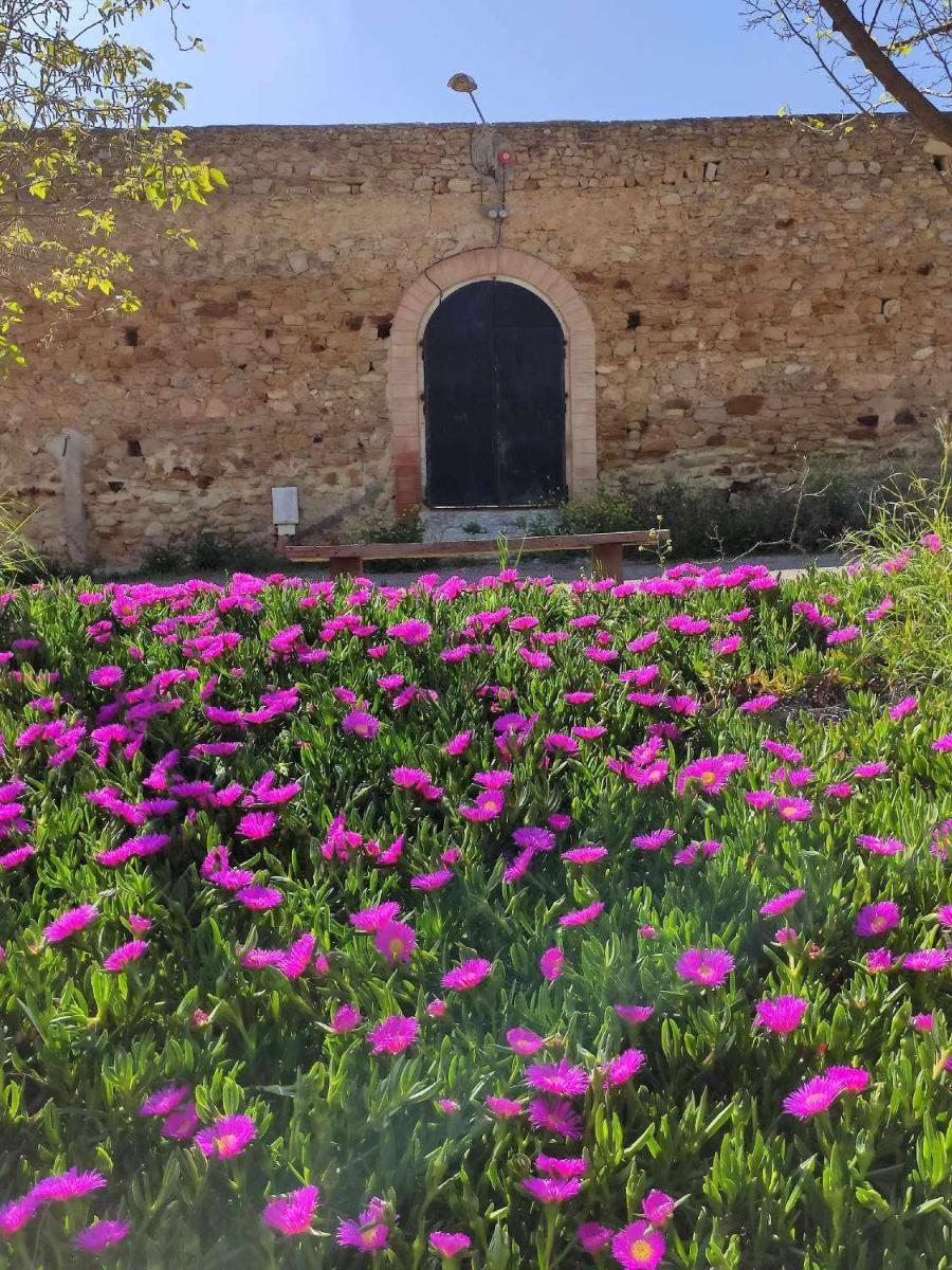FINCA LAS ROSAS DE SANTA ANA - Housity