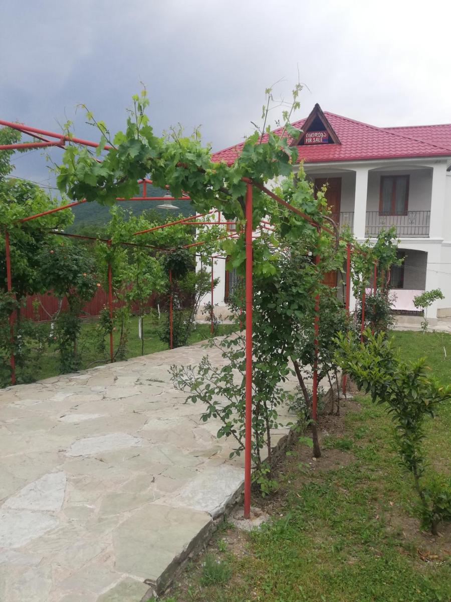 Villa Piligrim - Housity