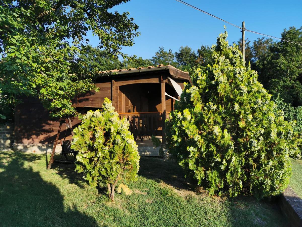 Suitetrails - Casale Druida