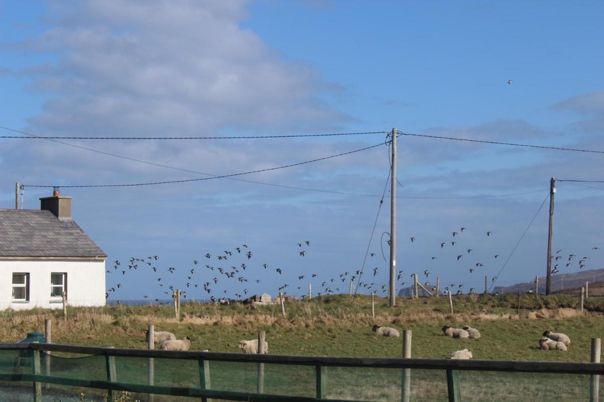 Malin Head SolasTobann ArtHouse Room 1 En-suite - Housity
