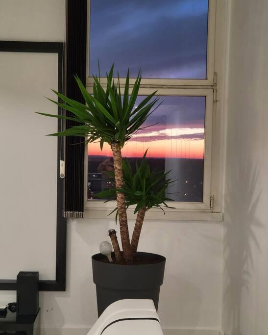 Duplex luxieux - Housity