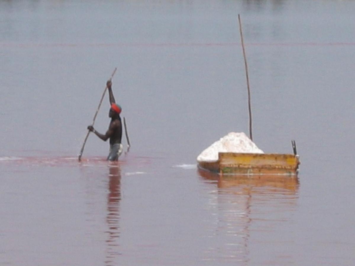 A la Ficelle du Lac Rose - Housity