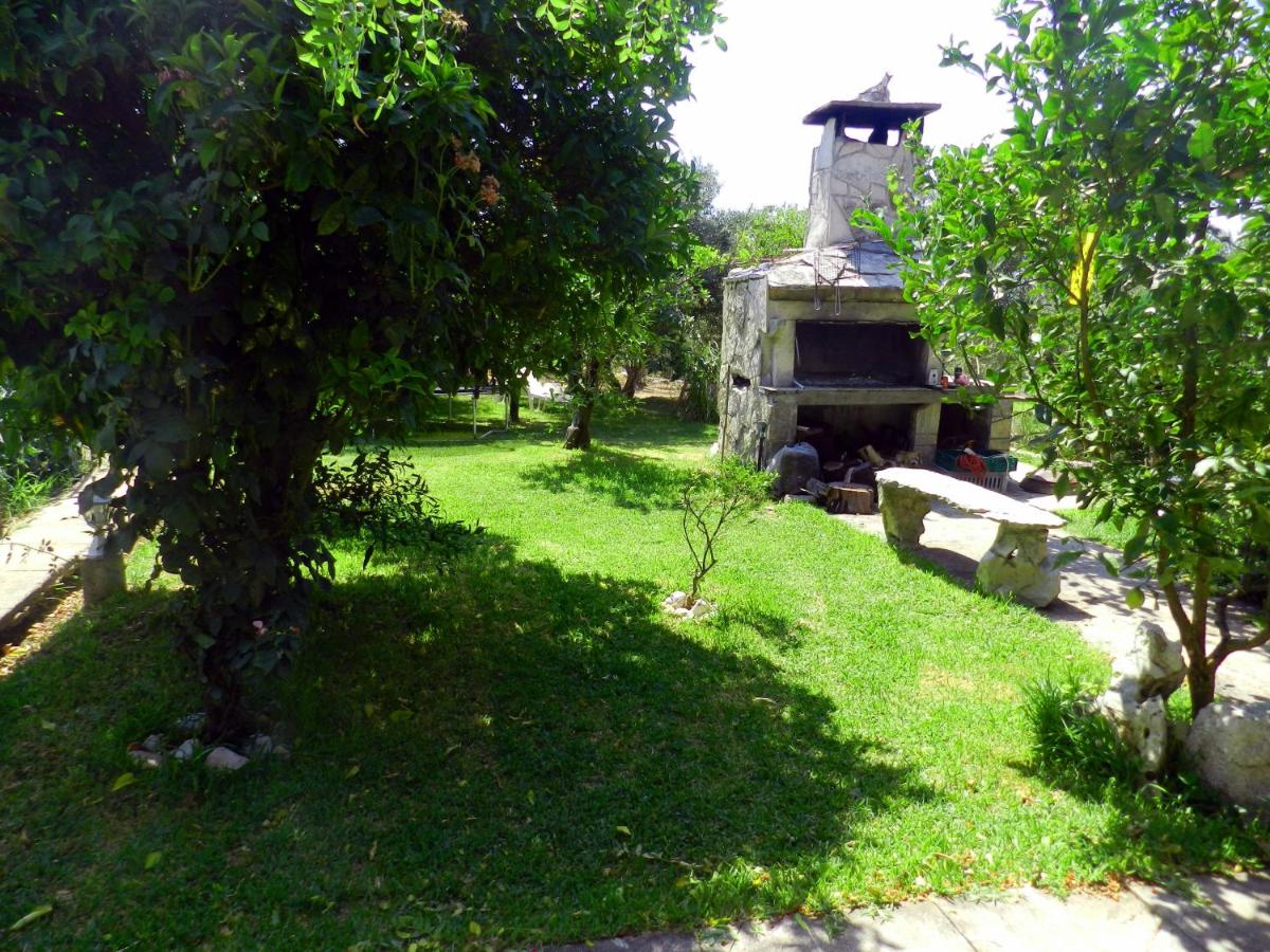 Apartments Lea - Housity