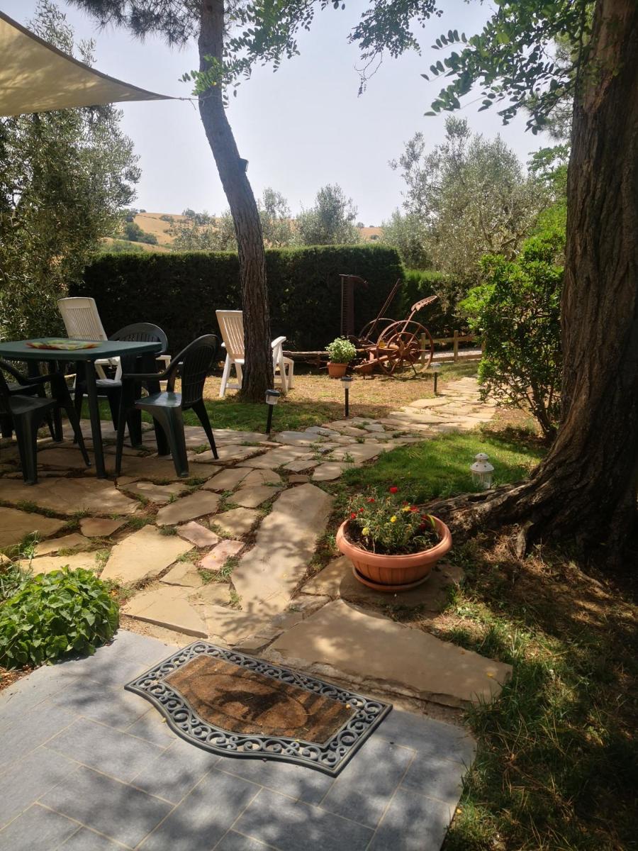 Podere Pini - Housity
