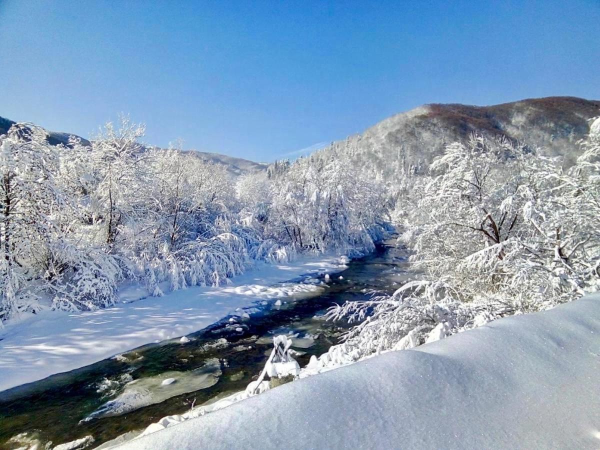 Жива вода - Housity