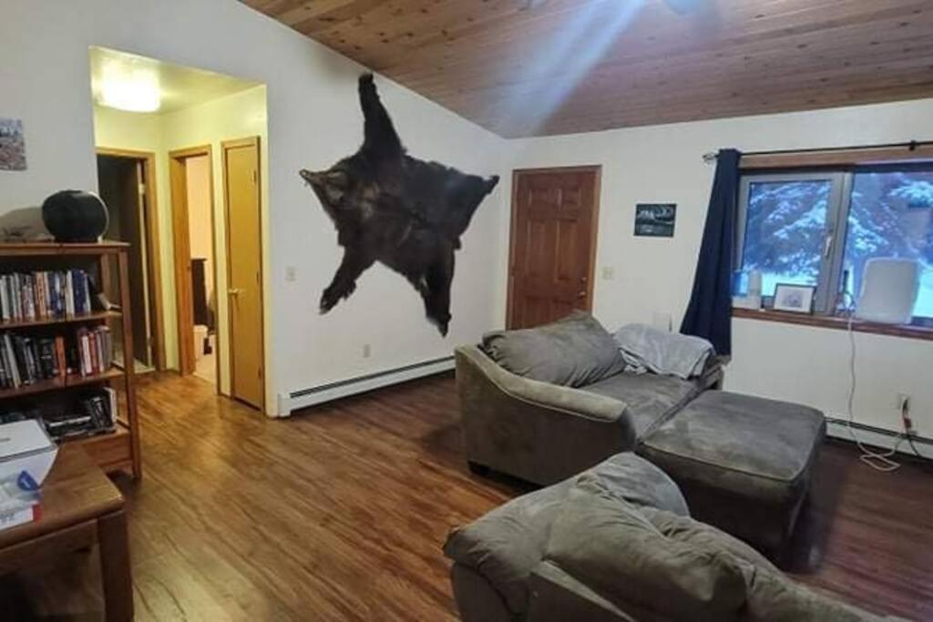 Whole Home, Airstrip/Float Access, Aurora Viewing! - Housity