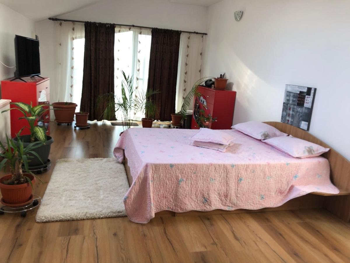 Adelina - Housity