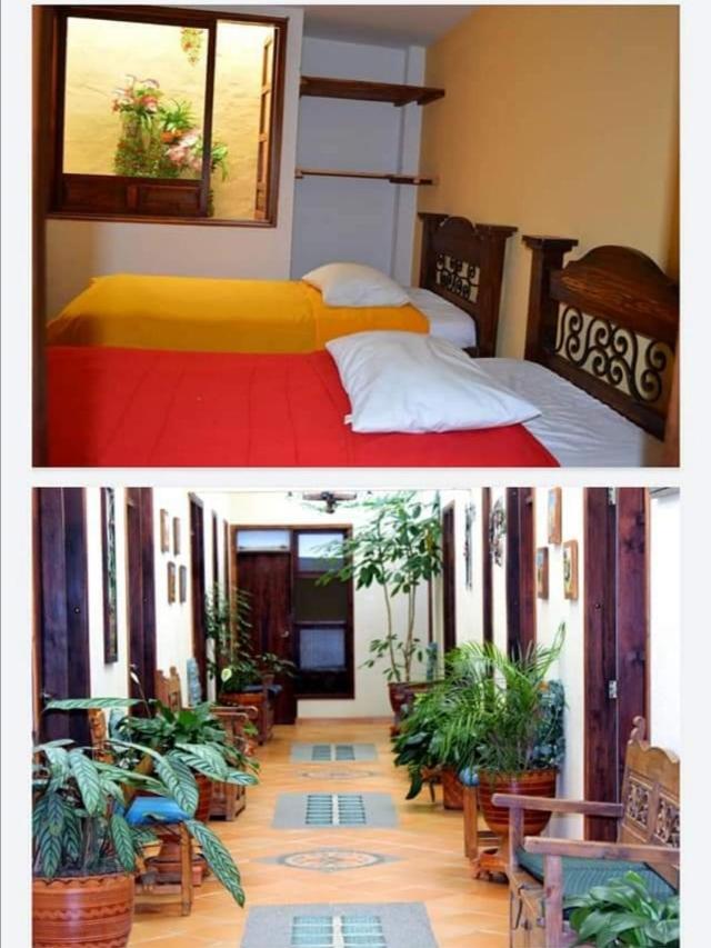 Tuta ZuaReal - Housity