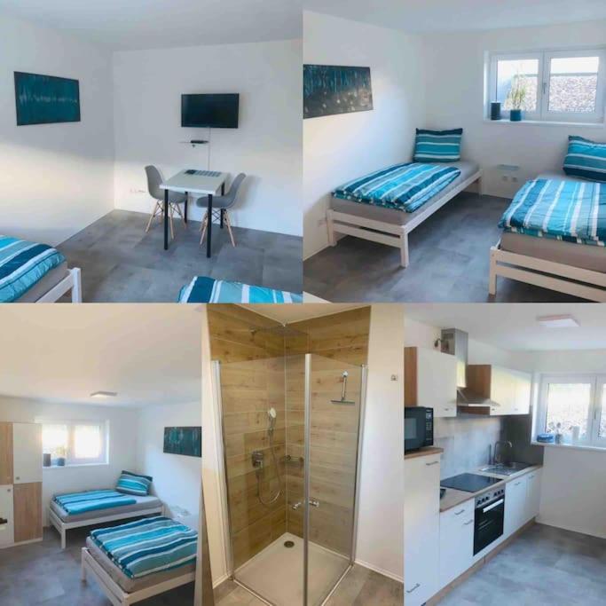 Moderne, helle Ferienwohnung in Au am Rhein - Housity