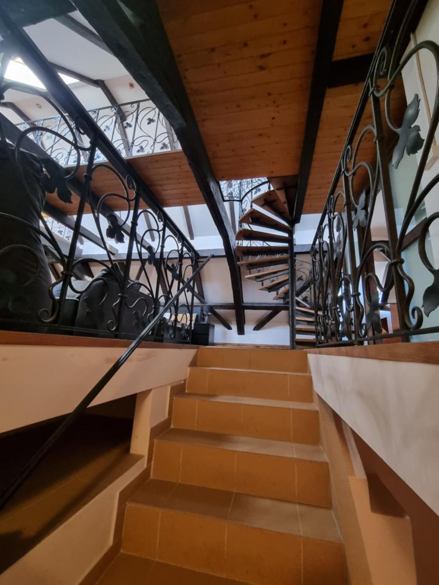 Suitetrails - Galerie Vila Lucia 5 - mezotonový apartmán