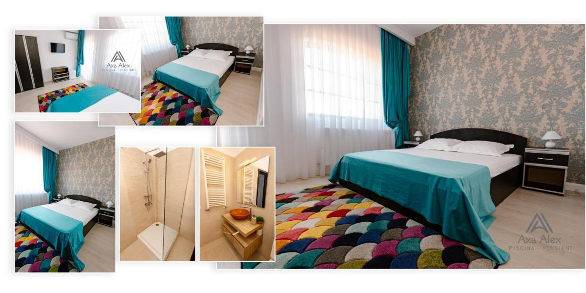 Pensiunea Axa Alex - Housity