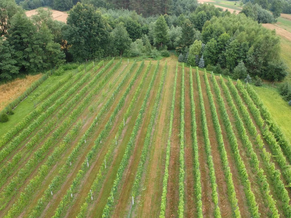 Agroturystyka ROGALA - Housity
