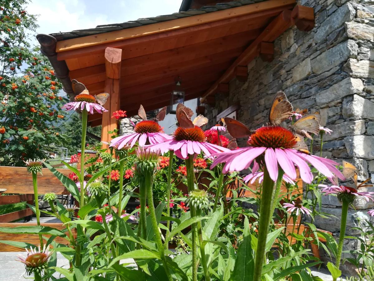 Baita Carnale, Montagna in Valtellina - Housity