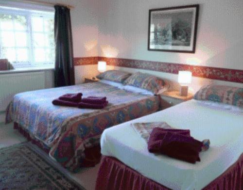 The Cranley Hotel - Housity