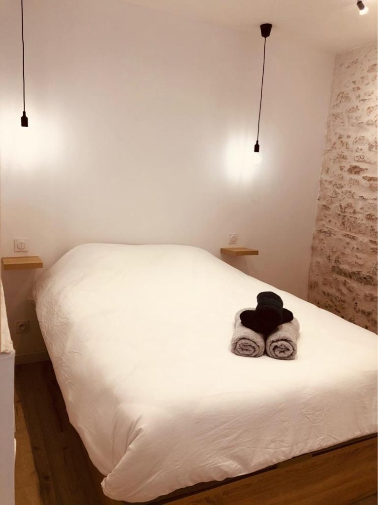 Le jungle charmant appartement avec extérieur - Housity