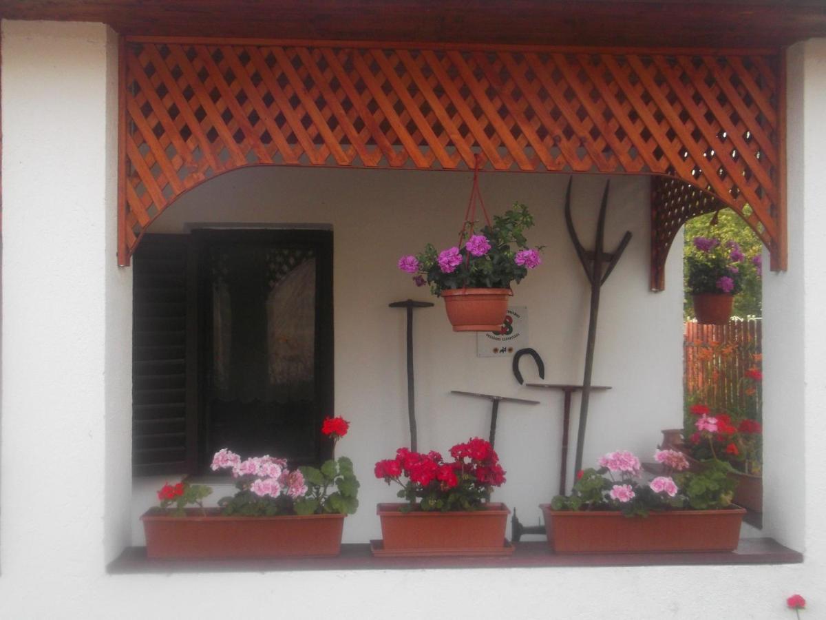 Bekecs Vendégház - Housity