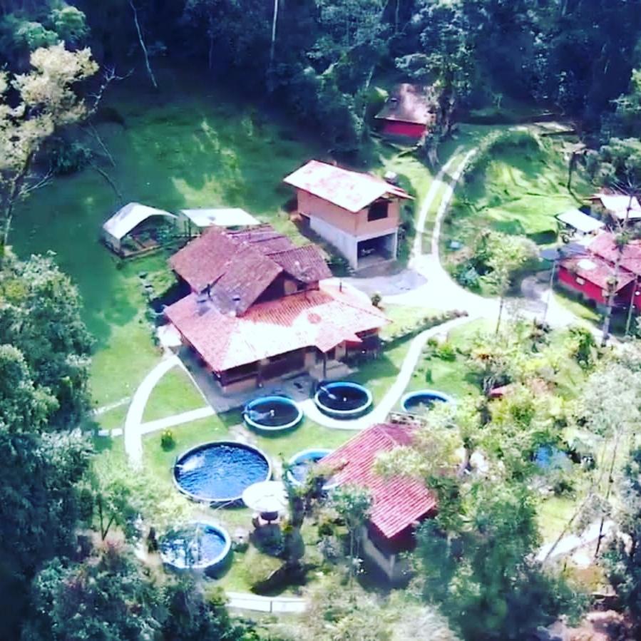 Chalé rústico truta dá floresta 3 - Housity
