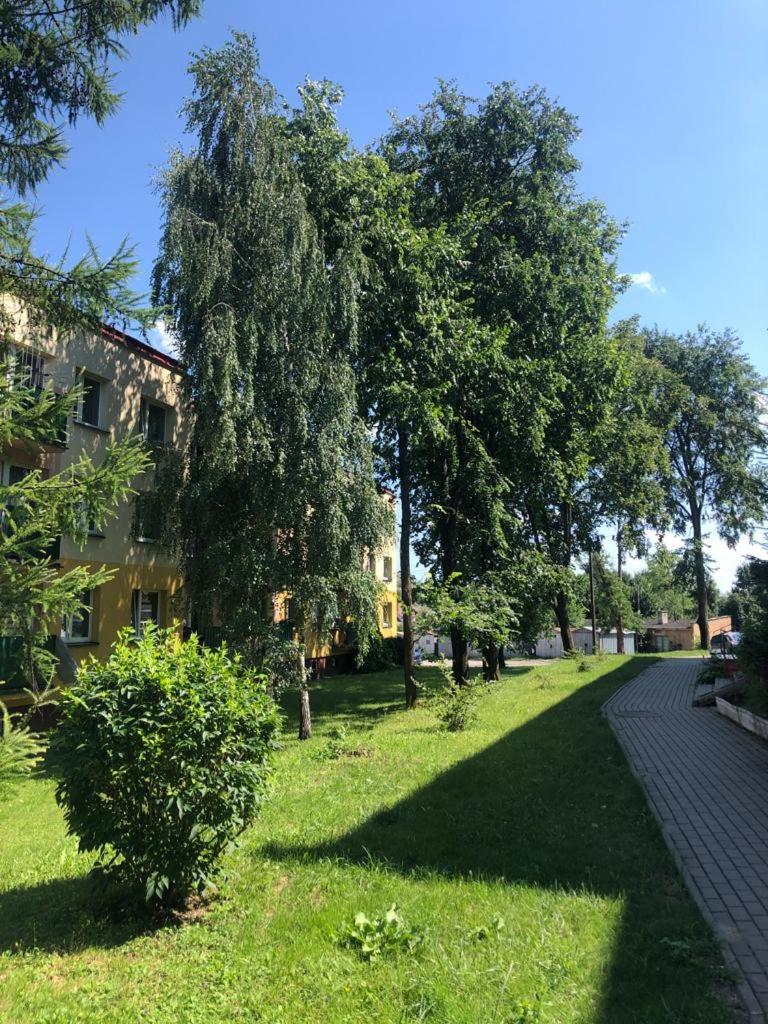Apartment Tarasy centrum - Hizvo