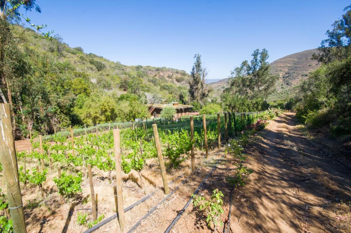 cabaña con tinaja en viña narbona wines - Housity
