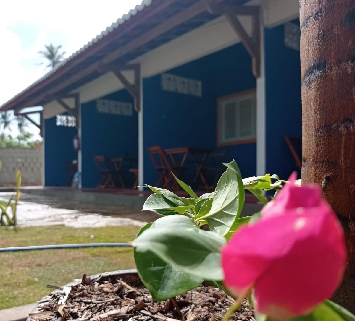 Pousada e Restaurante do Francisco - Housity