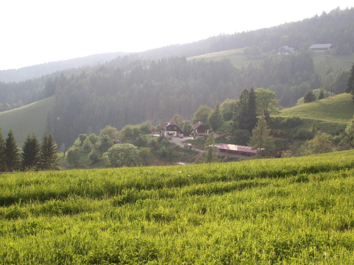 Apartment in Liebenfels in Carinthia near ski area - Housity
