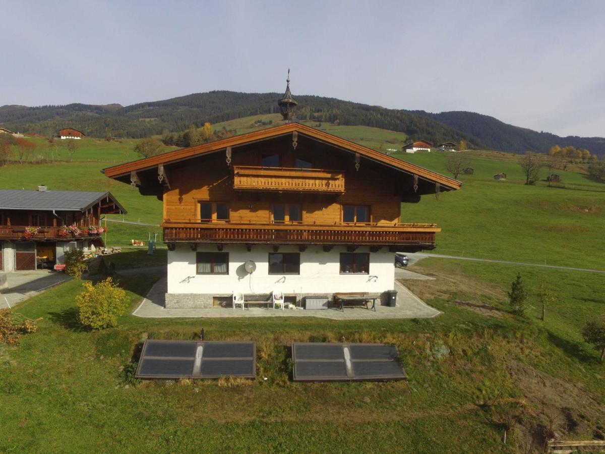 Exquisite vacation apartment in Mittersill near ski area - Housity
