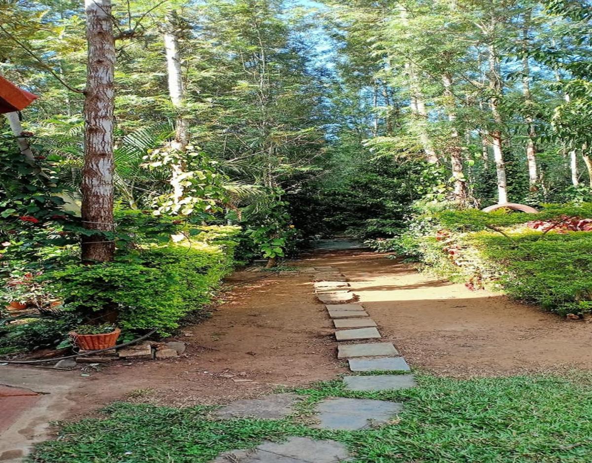 Coorg Royal Tree Homestay by StayApart - Housity
