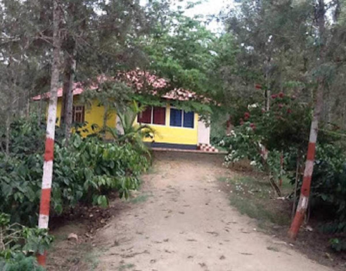 Rising Surya - Coorg Recreations by StayApart - Housity