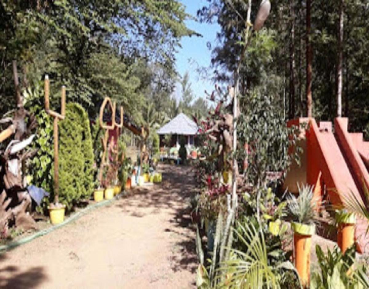 Rising Surya - Coorg Recreations by StayApart - Housity
