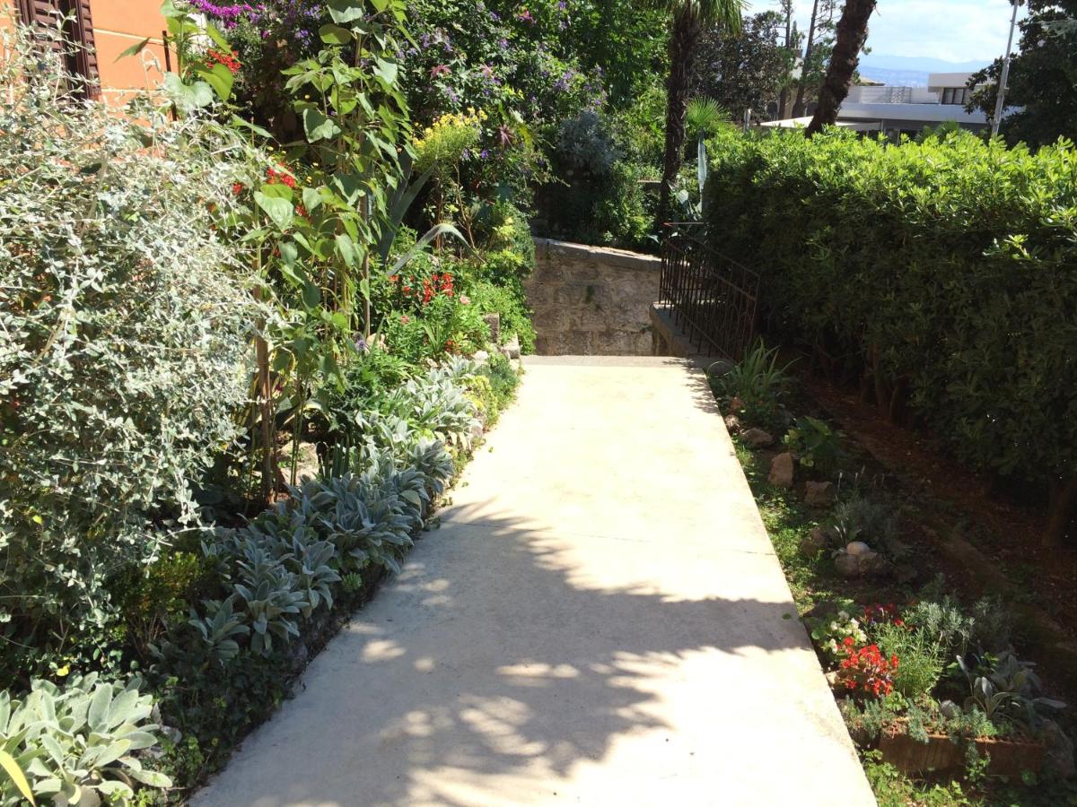 Bed & Breakfast Borka - Housity