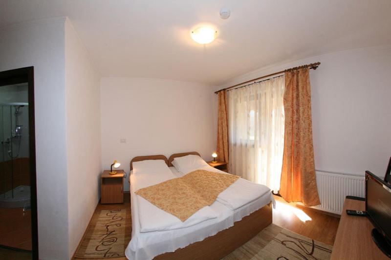 Pensiunea Elena - Housity