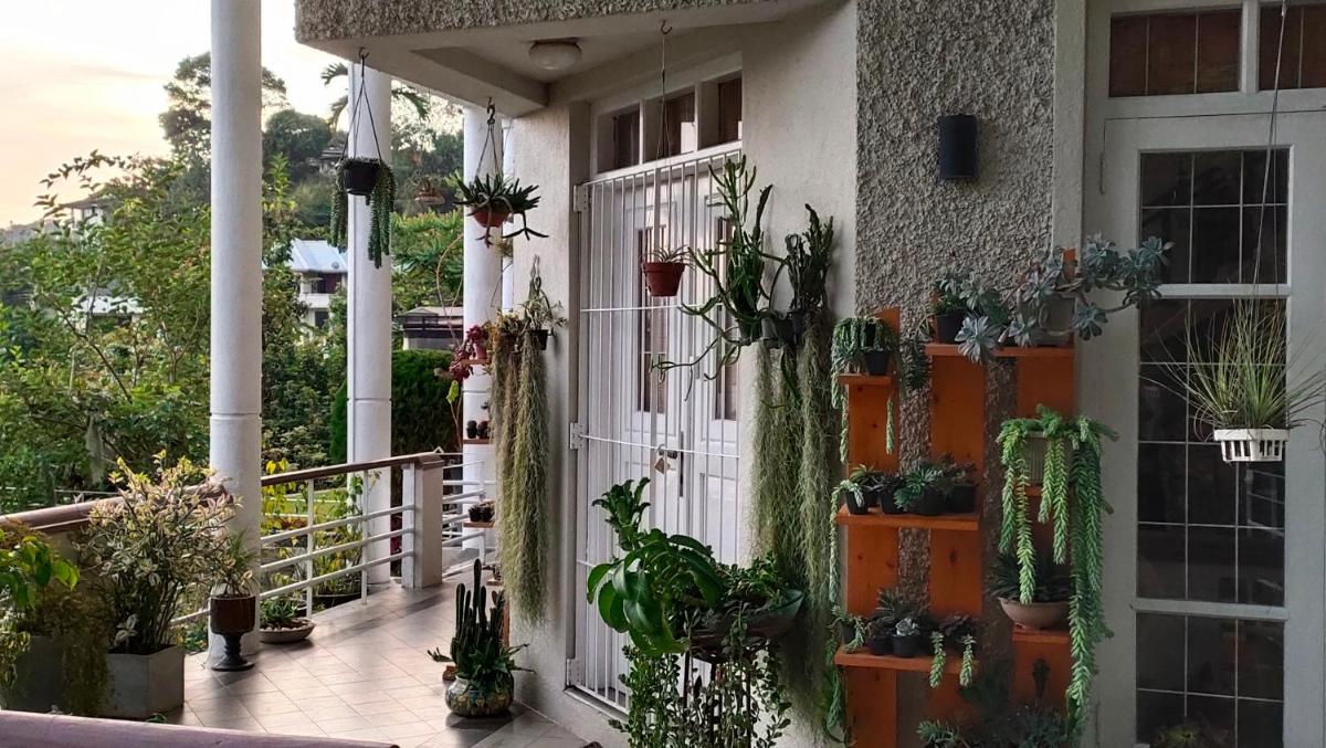 Marvel Hills Kandy - Housity