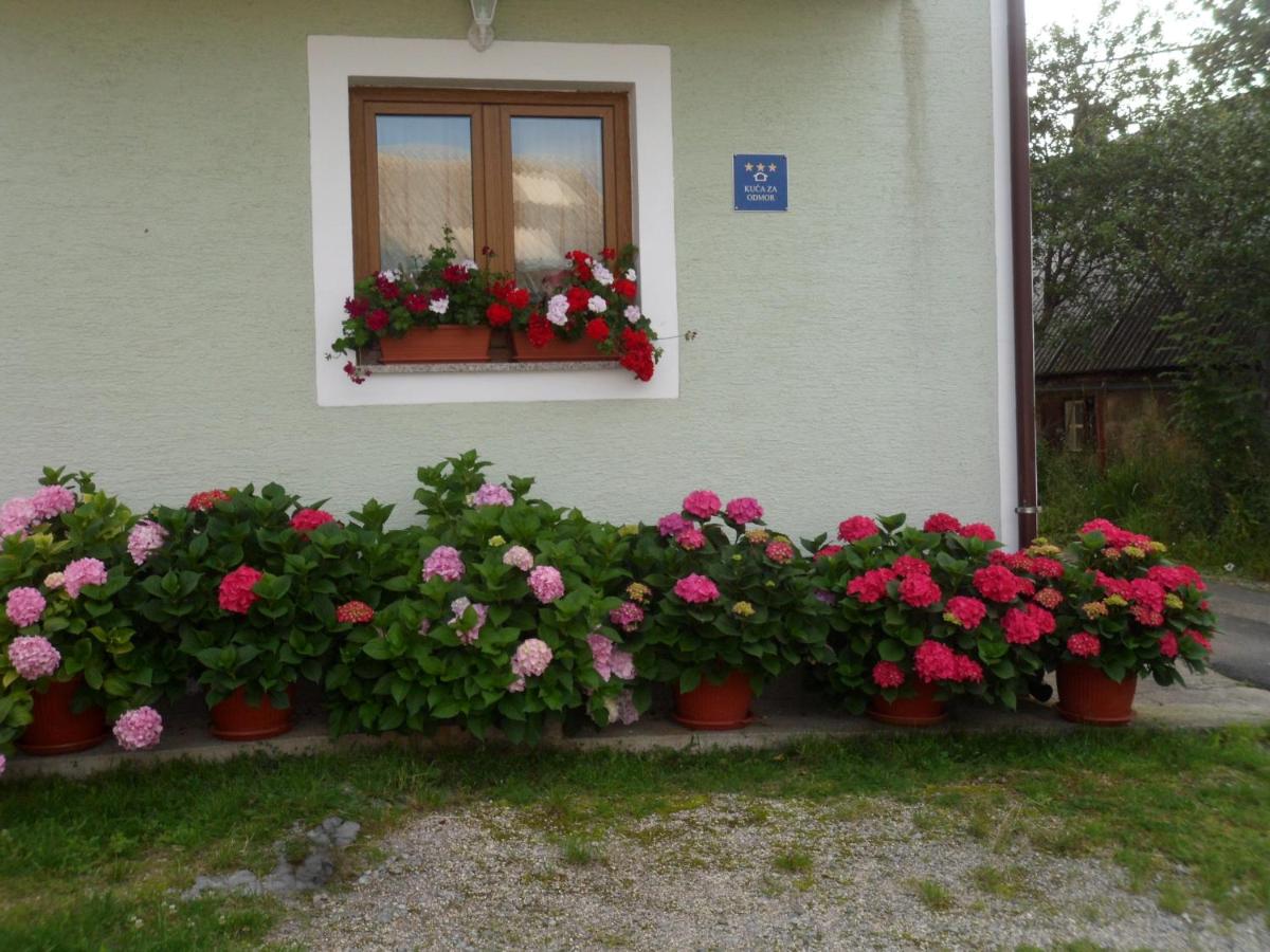 Vacation home Kuća za Odmor - Housity