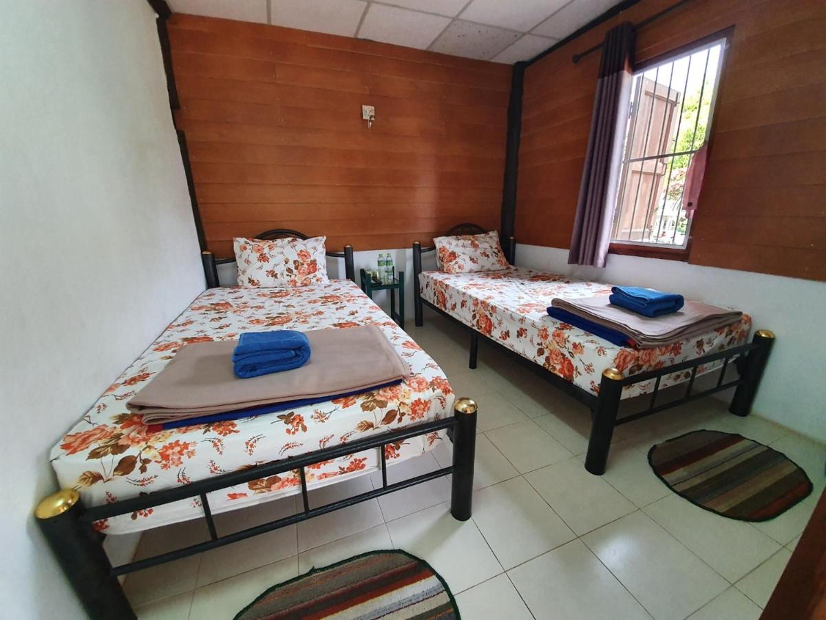 Chaing Dao Koko Home / โกโก้ โฮม เชียงดาว - Housity