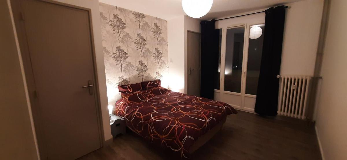 T2 Cosy Saint Étienne Centre Secteur Cours Fauriel - Housity