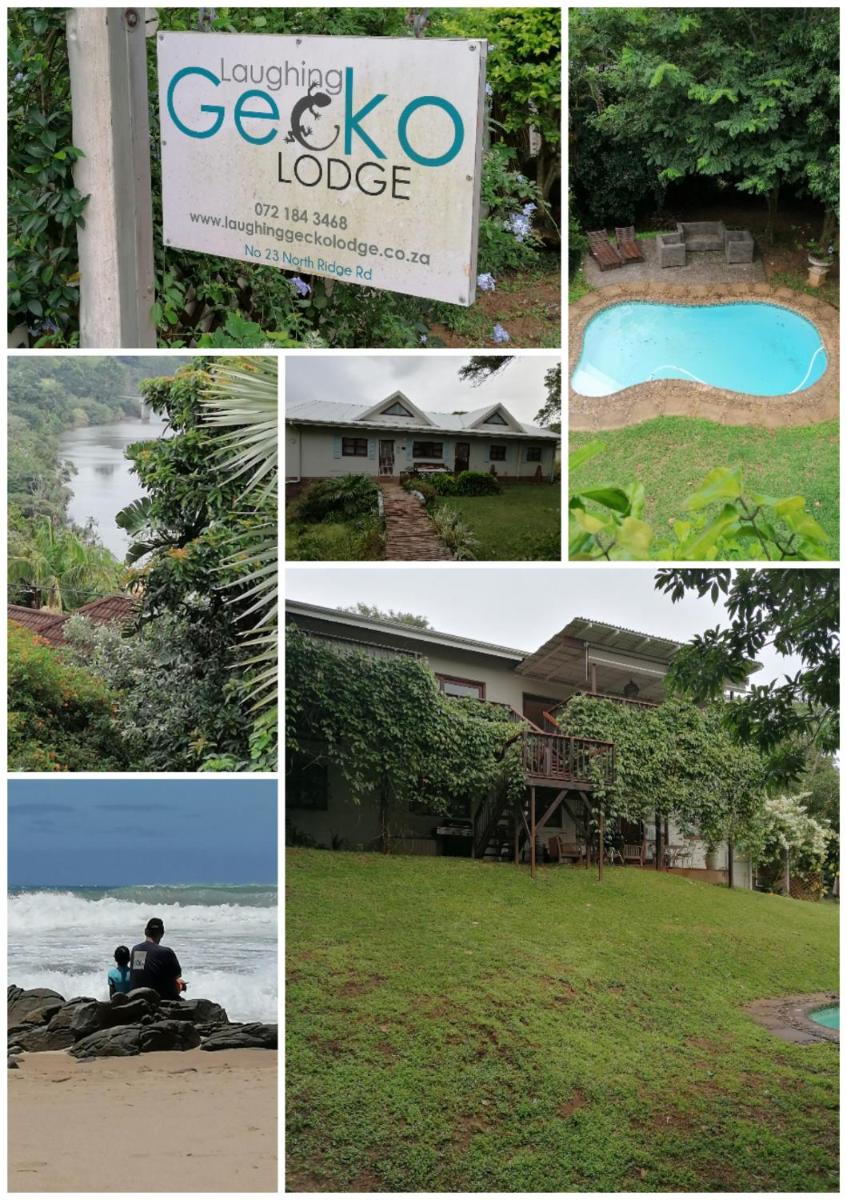 Laughing Gecko Lodge2 - Housity