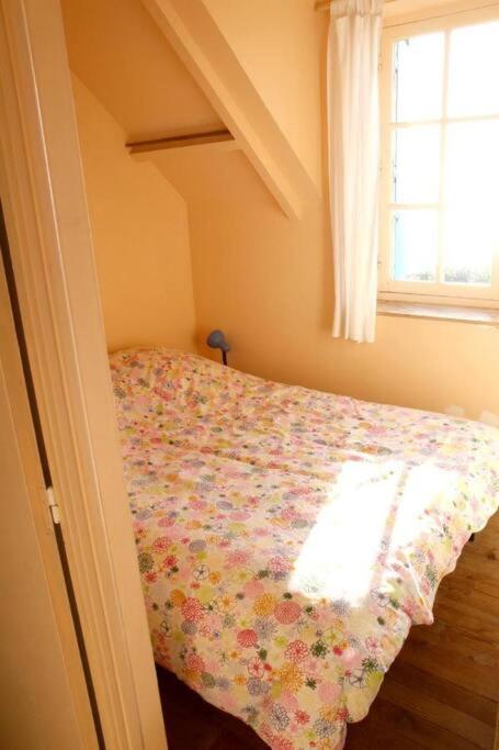Belle villa de bord de mer - Housity