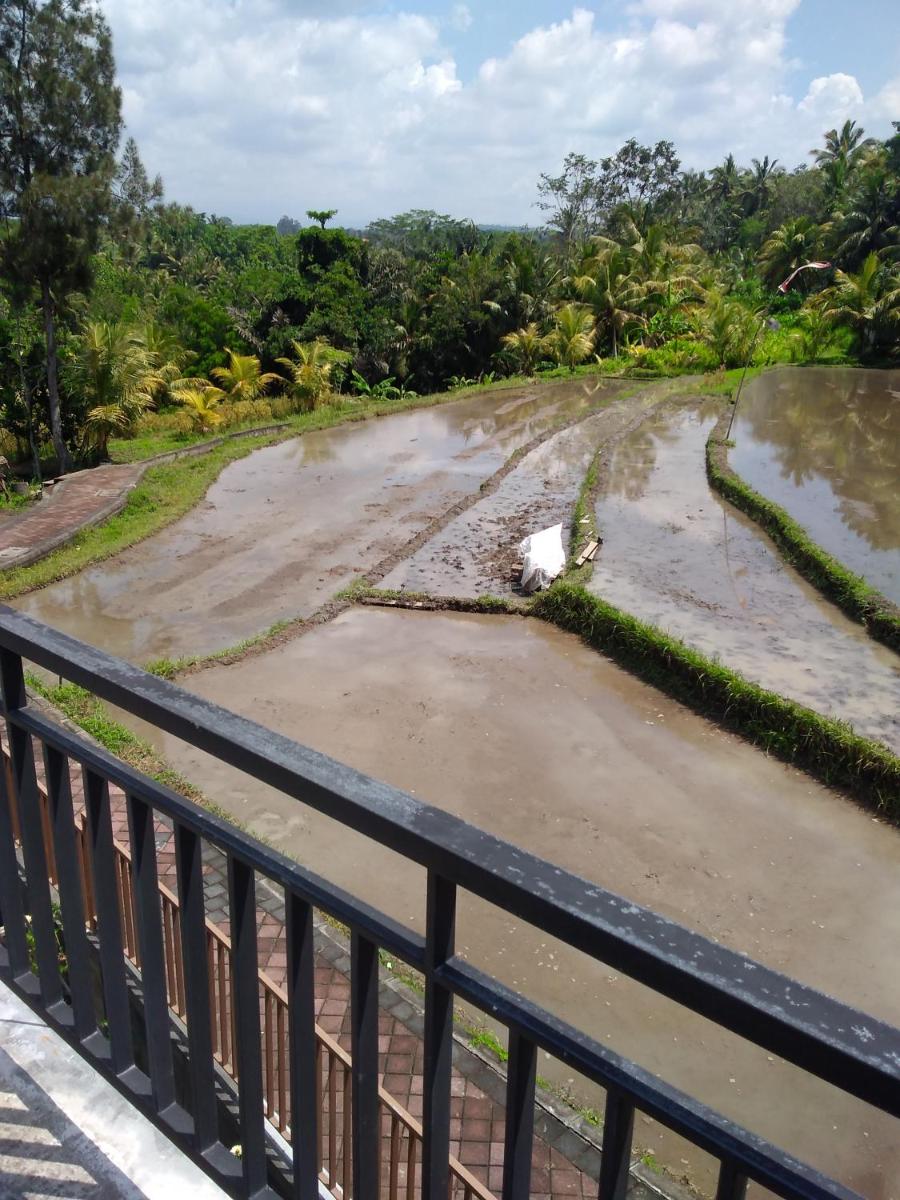 Karauci Homestay - Housity
