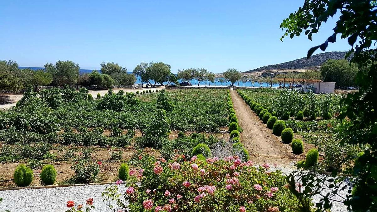 seaside Ktima KaParos PAROS - Housity