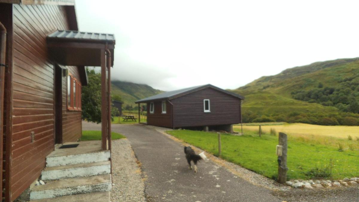 Lamont Chalet Self catering holiday homes Creagmhor Glenelg IV408LA - Housity