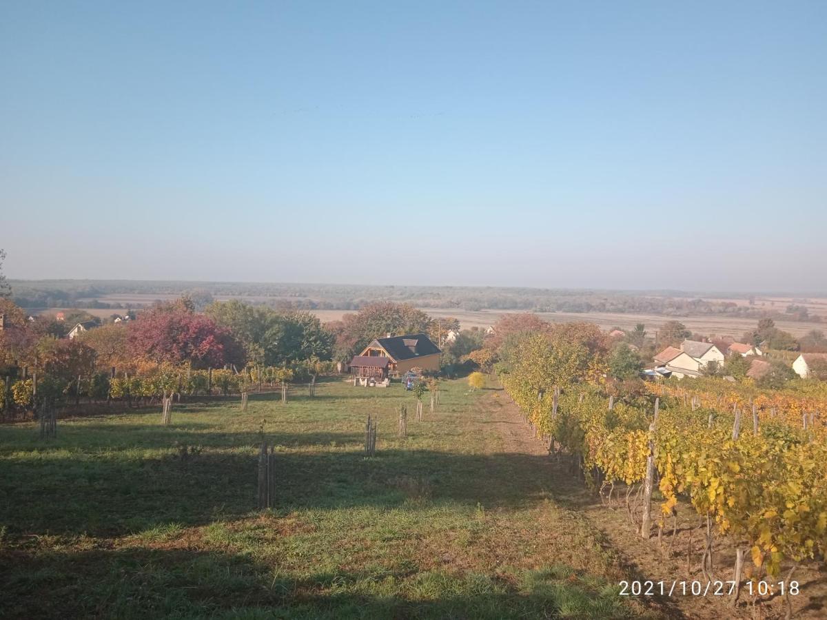 Kádárok Vendégháza a Somló-hegyen - Housity